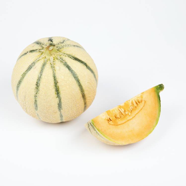 Le Melon Sélection Philibon - 2