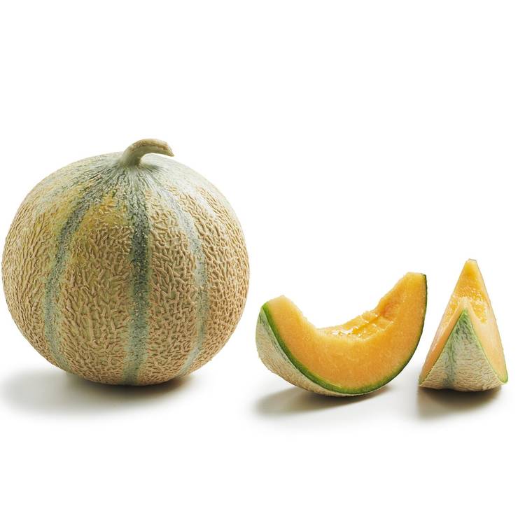 Le Melon charentais jaune - 2