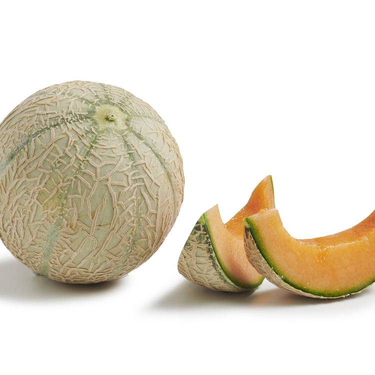 Le Melon charentais vert - 2
