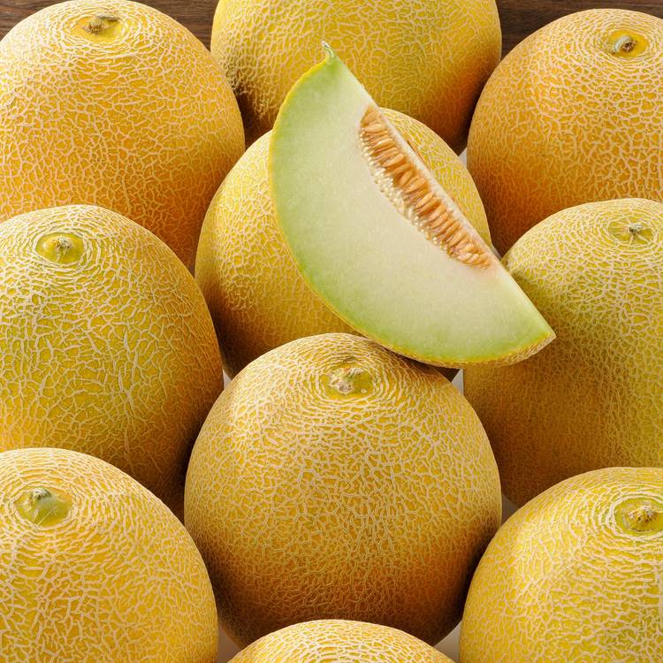 Le Melon galia