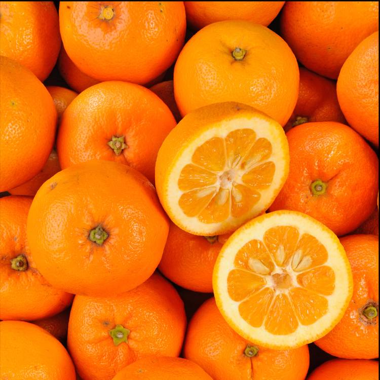 L'Orange amère