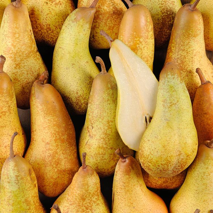 La Poire abate