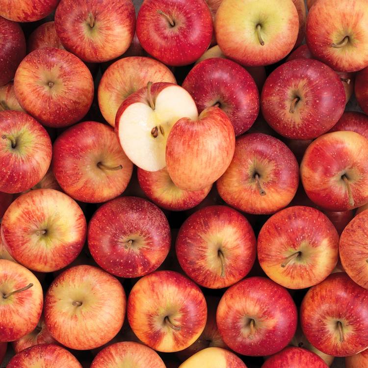 Pomme Liz Petite HVE