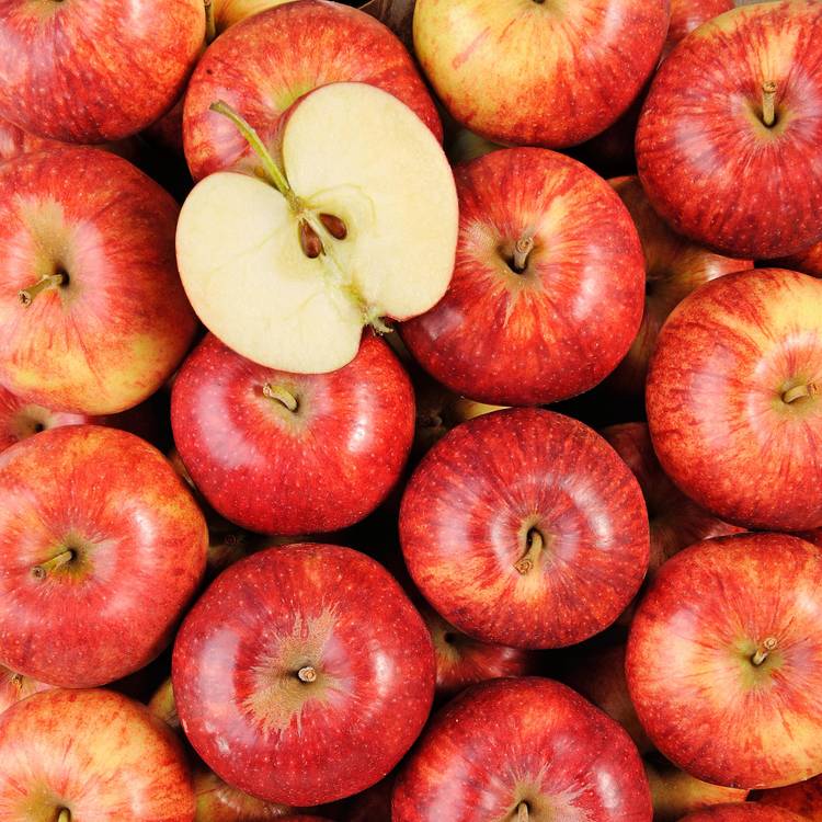 La Pomme milenga HVE