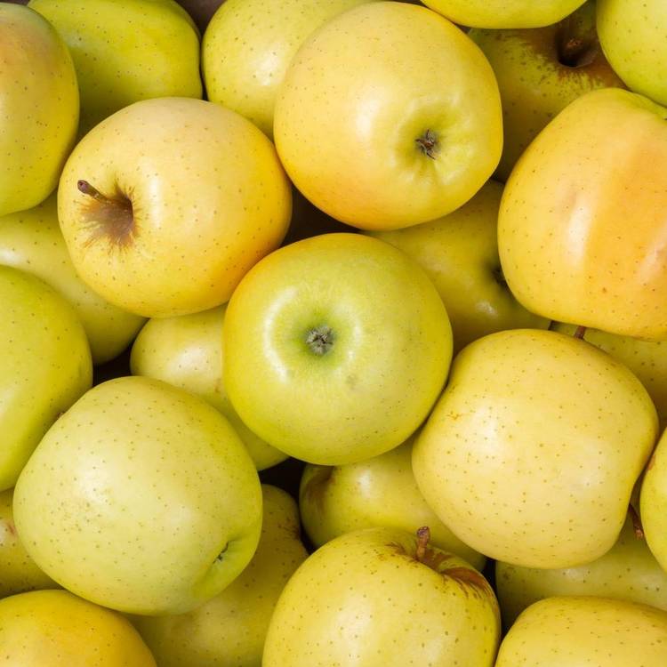 La Pomme golden