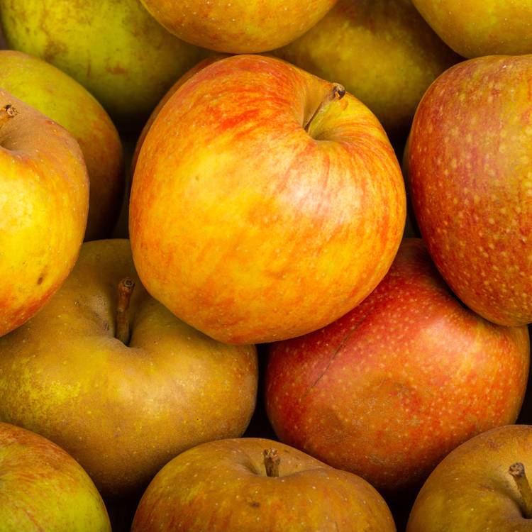 La Pomme spéciale compote en colis de 5kg (variété selon arrivage)