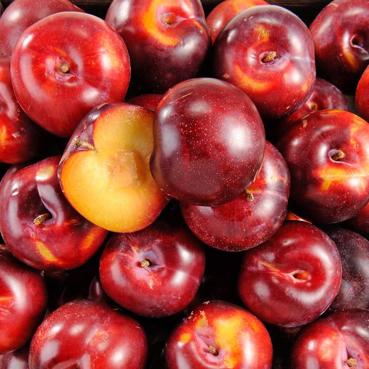 La Prune saphire