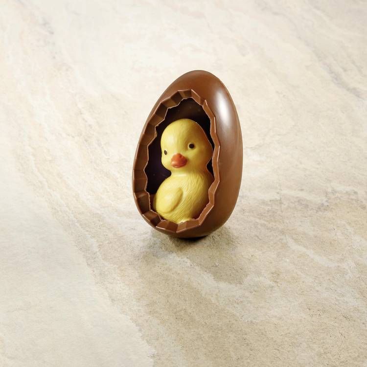 Le Poussin au chocolat au lait