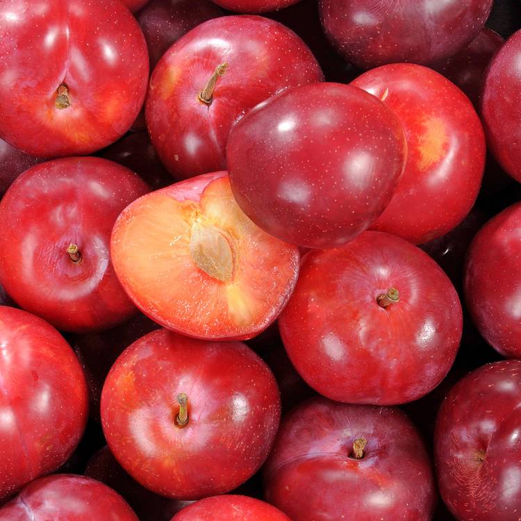 La Prune confiture en colis de 5kg