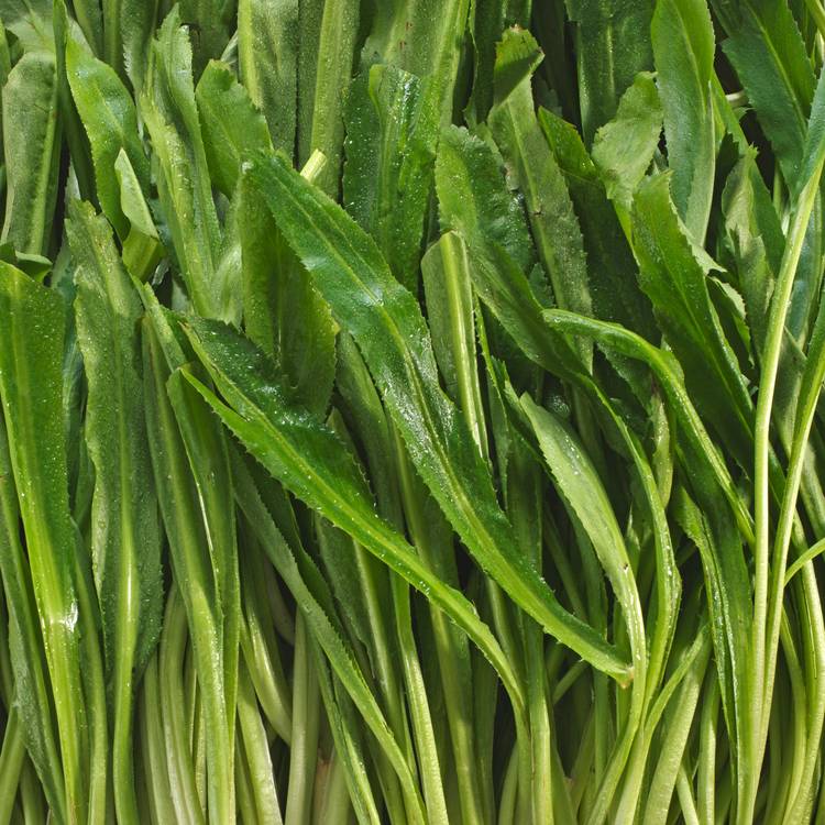 La Feuille de pandan