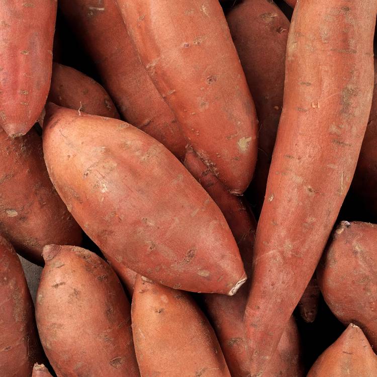 La Patate douce en filet