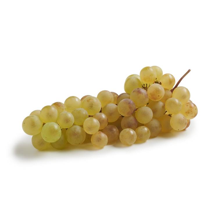 Le Raisin chasselas de Moissac AOP - 2