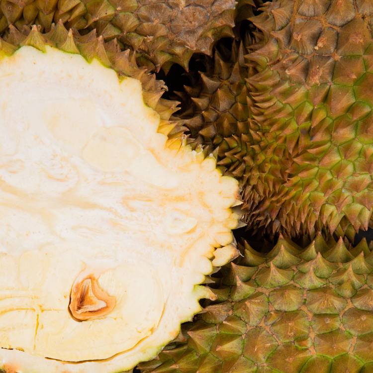 Le Durian - 1