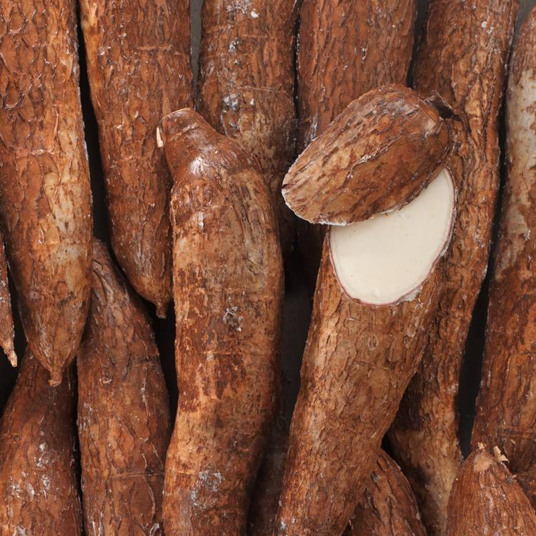 Le Manioc Mon March 