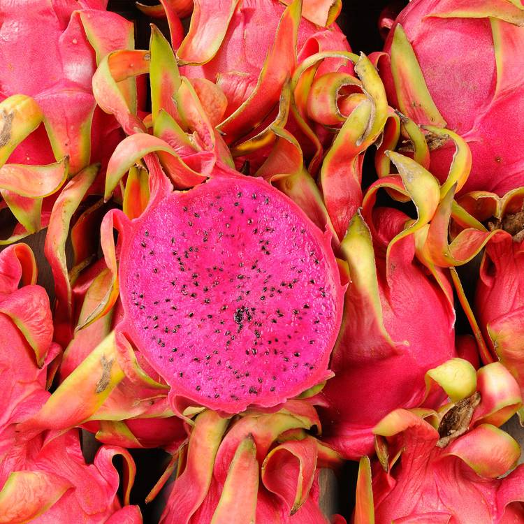 Le Pitaya rouge (ou Fruit du Dragon rouge) - 1