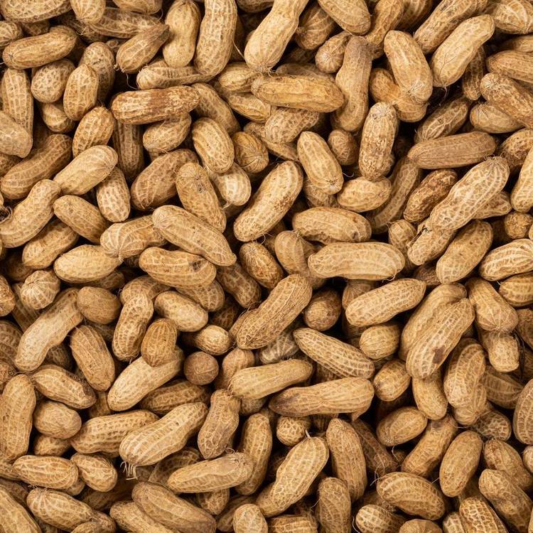 La Cacahuète fraîche - 1