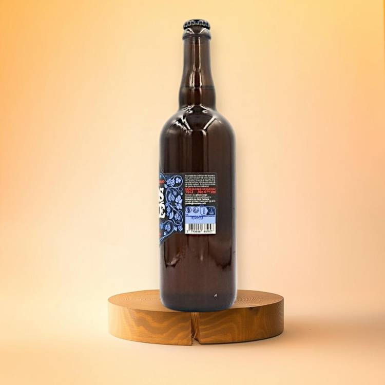 La Bière french IPA "Anosteke" - 2
