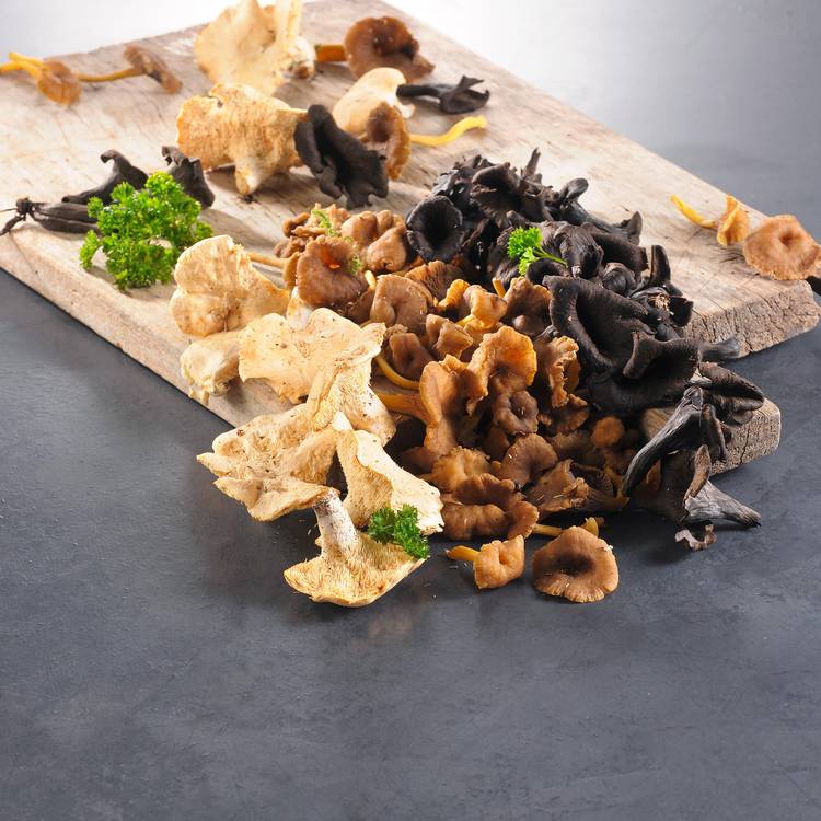 Les Champignons forestiers