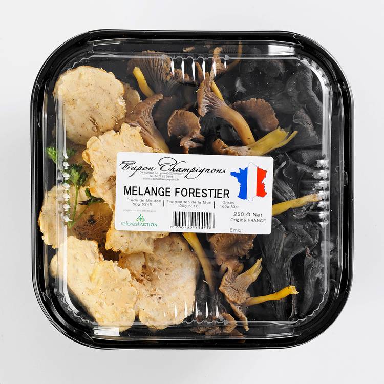 Les Champignons forestiers - 2