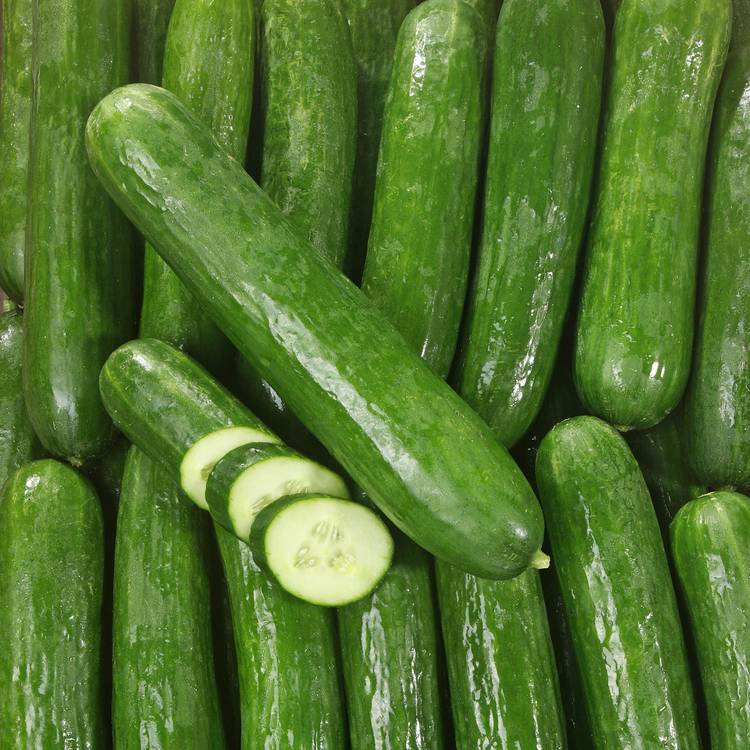 Le Concombre BIO