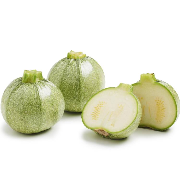 La Courgette blanche ronde - 2