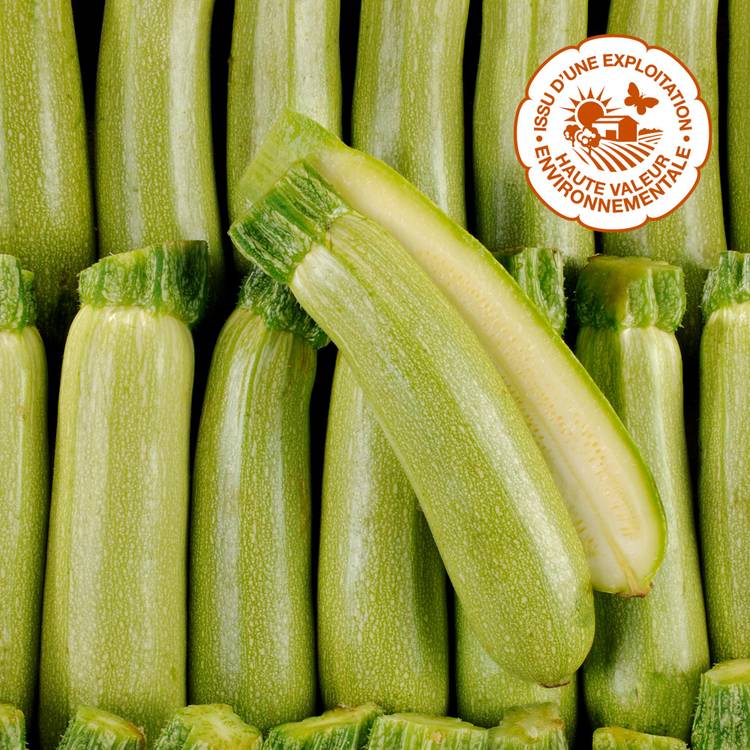 La Courgette blanche HVE - 1
