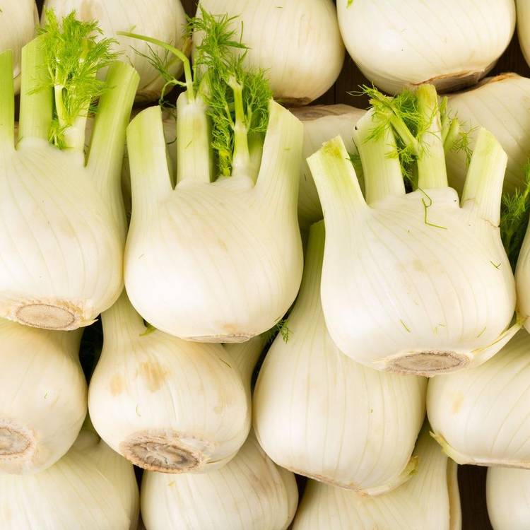 Le Fenouil BIO
