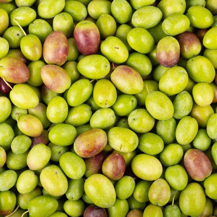 L'Olive verte crue