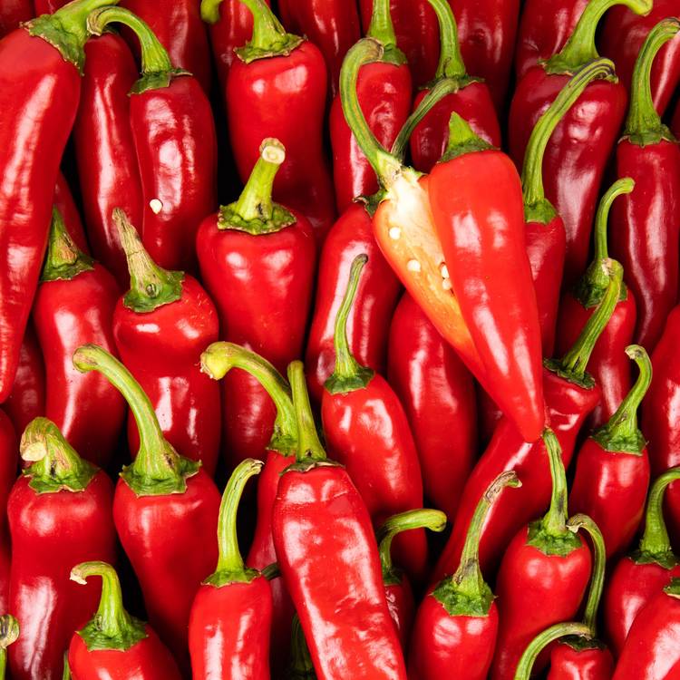Le Piment d'Espelette