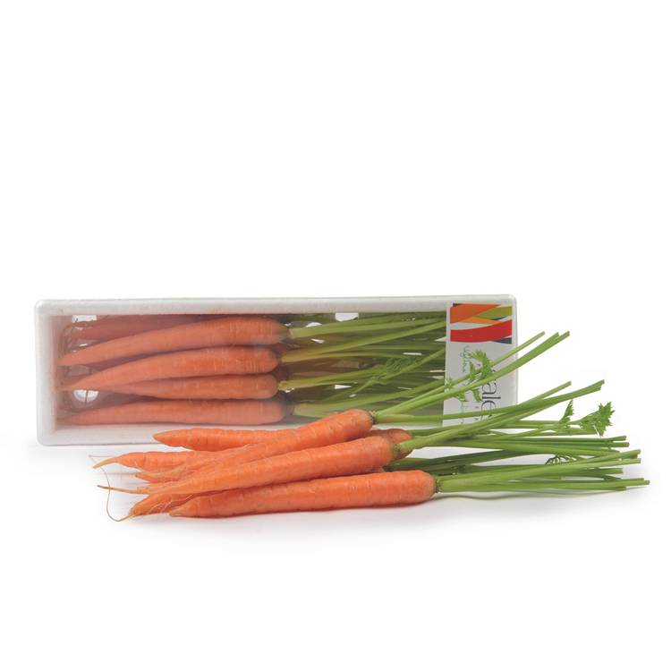 La Mini-carotte en botte pour art culinaire 150g - 2