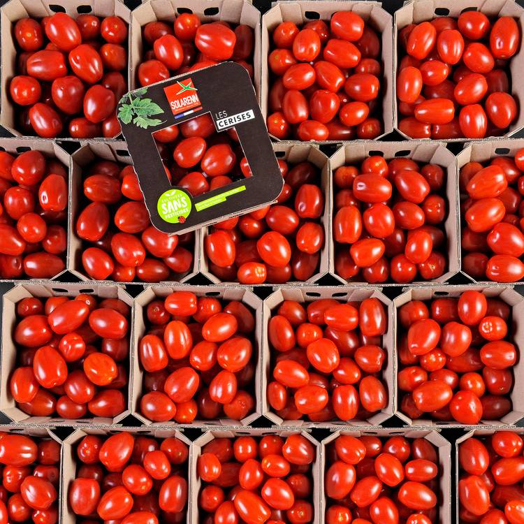 La Tomate Cerise allongée en barquette