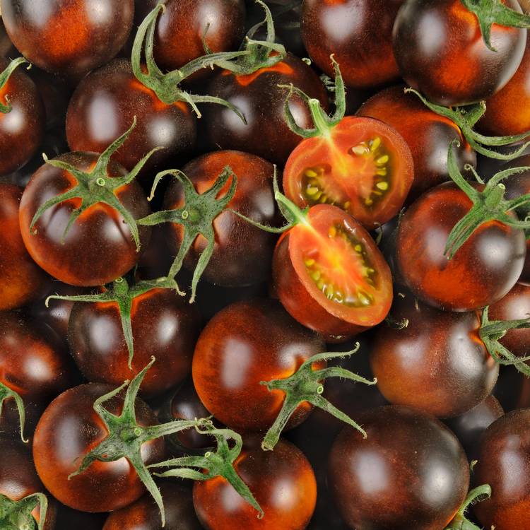 La Tomate cerise prune