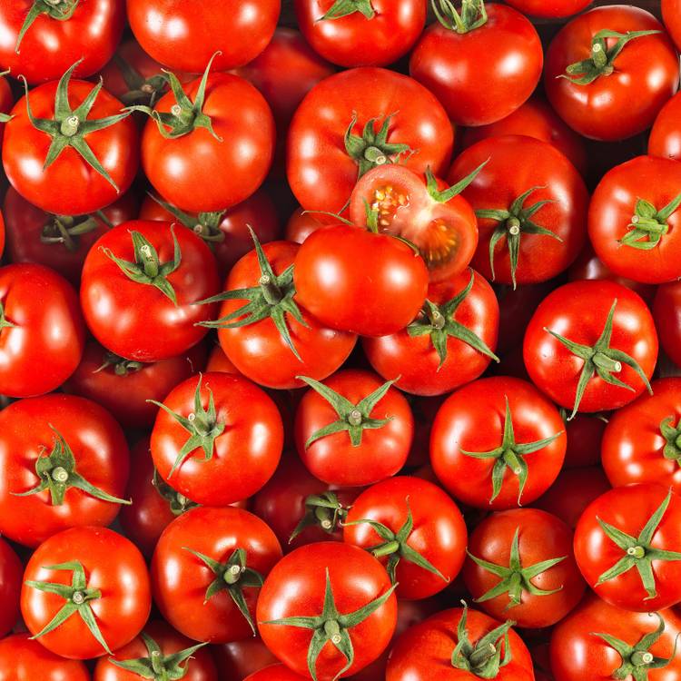 La Tomate divinina en colis de 1.5kg