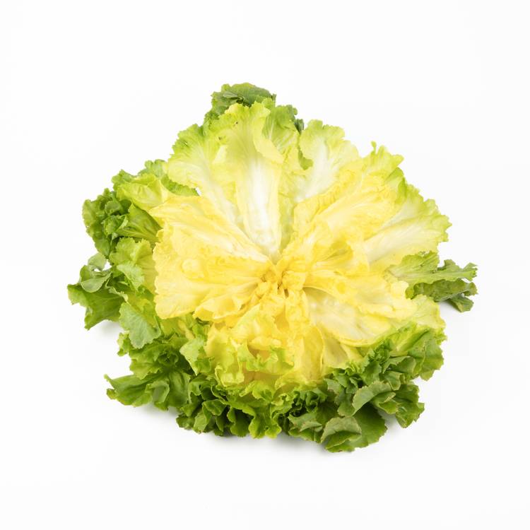 La Salade scarole - 2