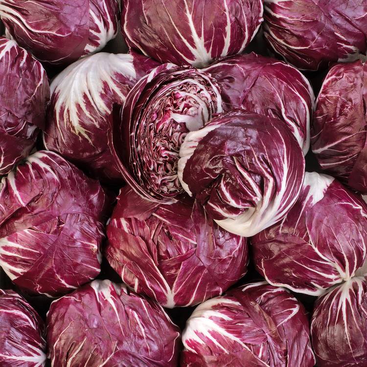 La Salade trévise