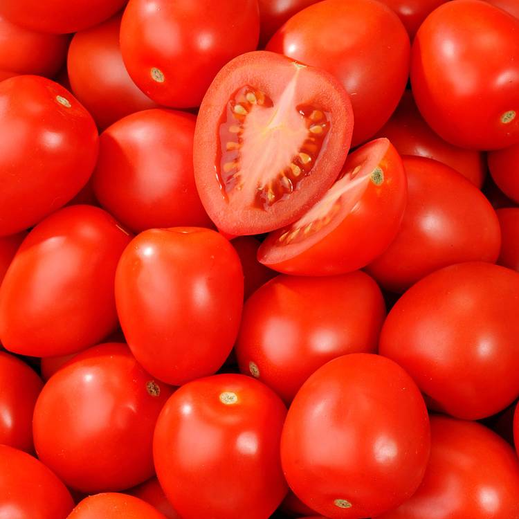 La Tomate rouge allongée olivette - 1