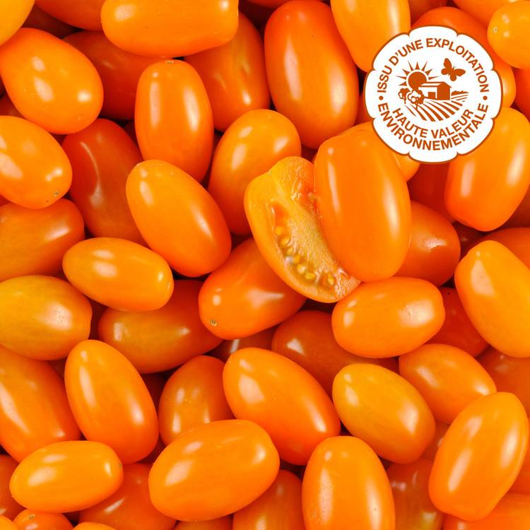 La Tomate cerise allongée orange HVE - 1