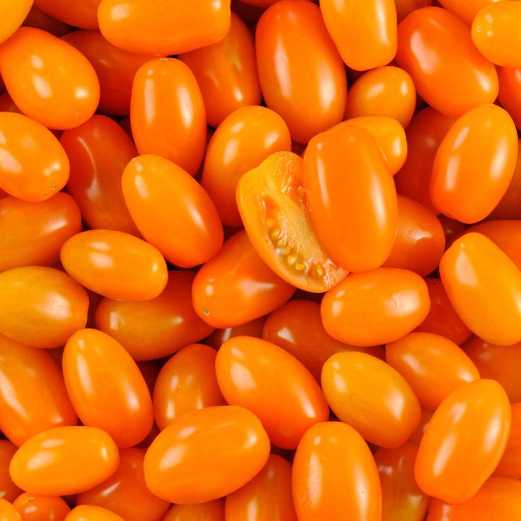 La Tomate cerise allongée orange - 1