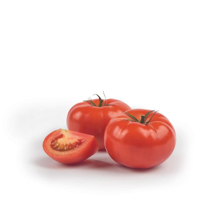 La Tomate grosse à farcir HVE - 2