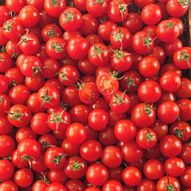 La Tomate cerise rouge HVE
