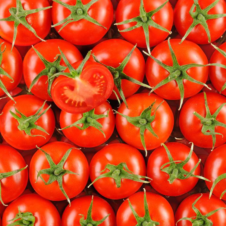 La Tomate authentique
