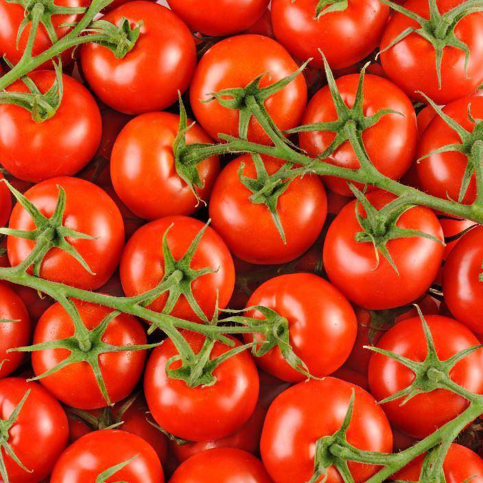 La Tomate grappe BIO