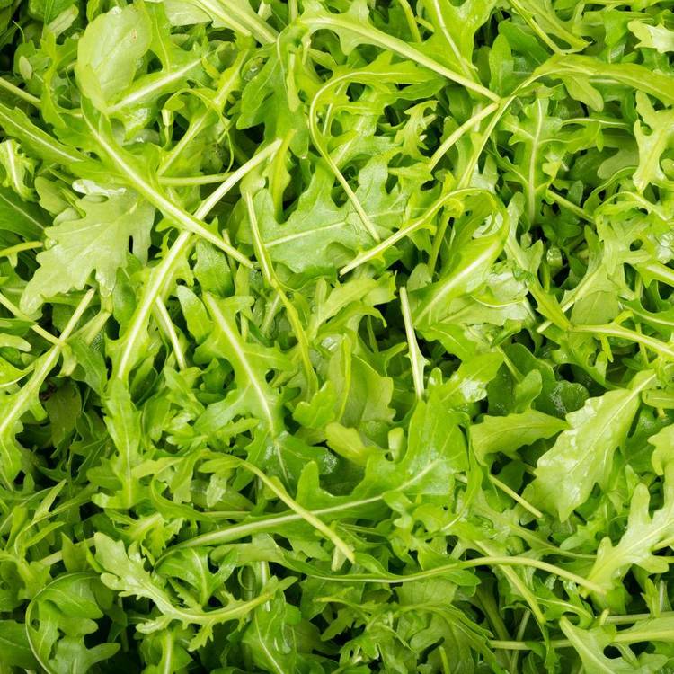 La Roquette en barquette