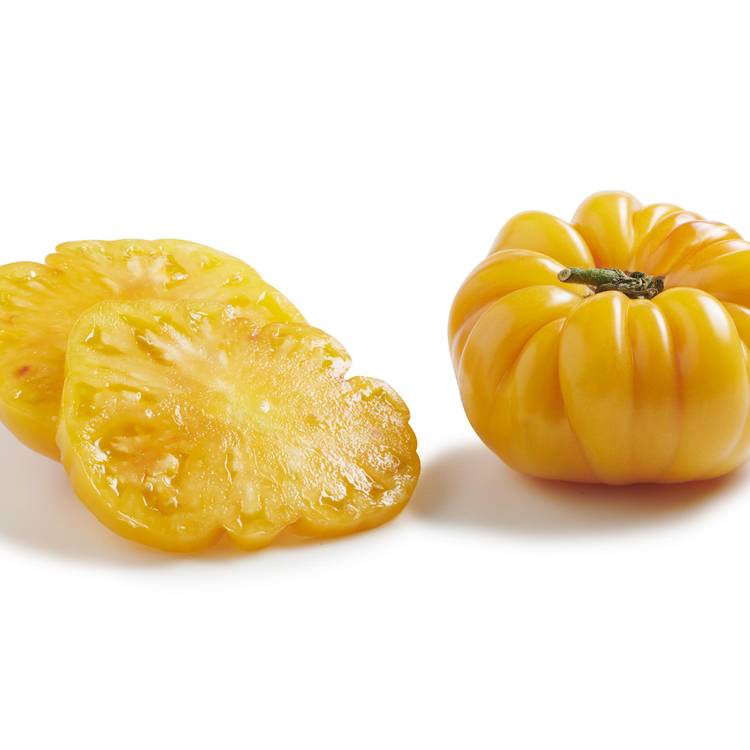 La Tomate ananas margold - Sélection variété ancienne - 2
