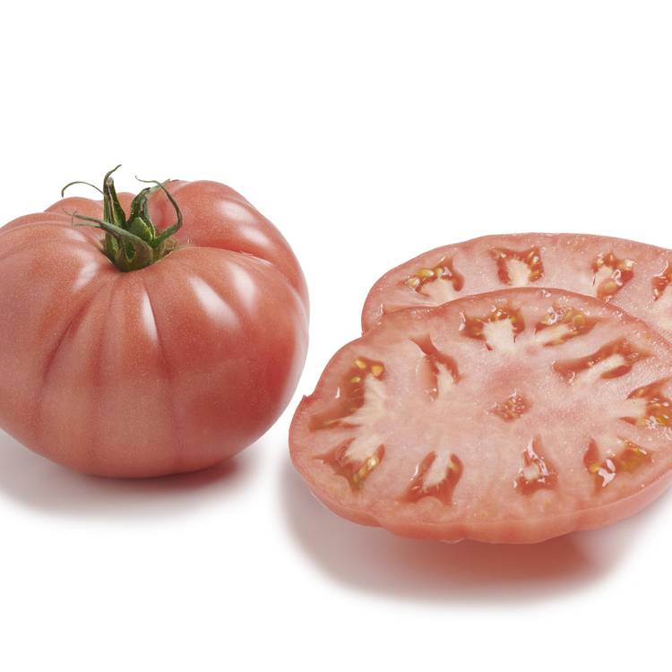 La Tomate Rose - Sélection variété ancienne - 2