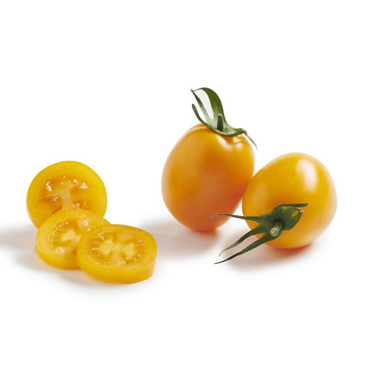 La Tomate organza - Sélection variété ancienne & gustative - 2