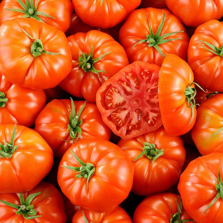 La Tomate marmande - Sélection variété ancienne - 1