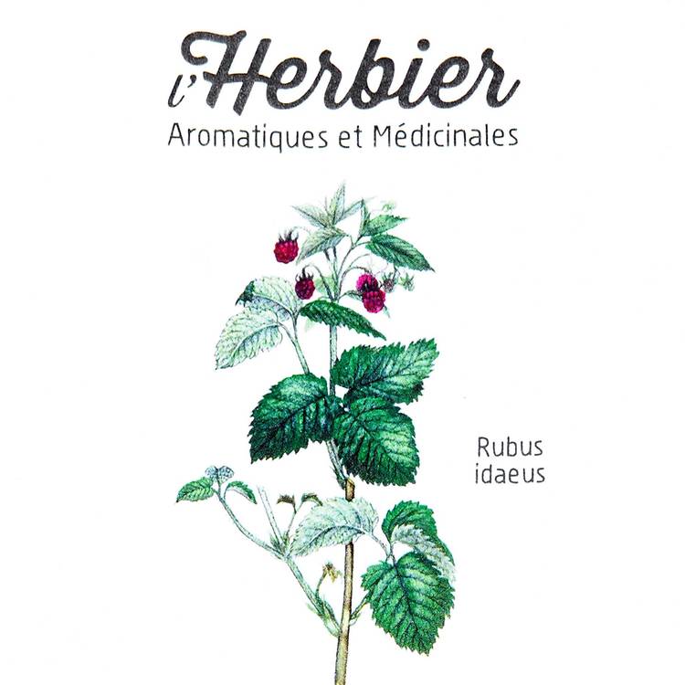 Les Feuilles de framboisier BIO - 3
