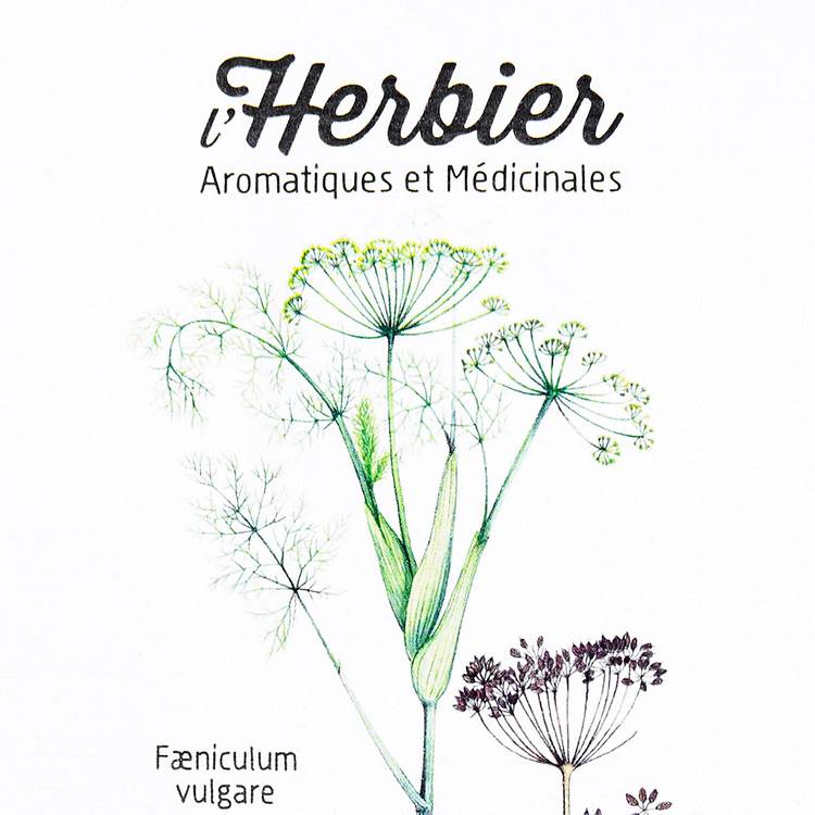 Les Graines de fenouil BIO - 3