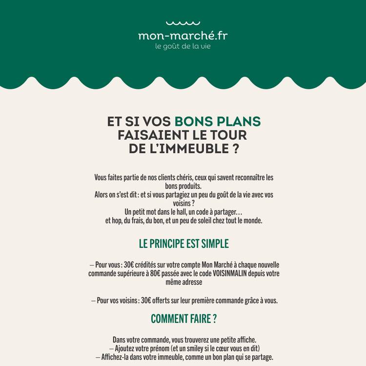 Affiche voisin 1